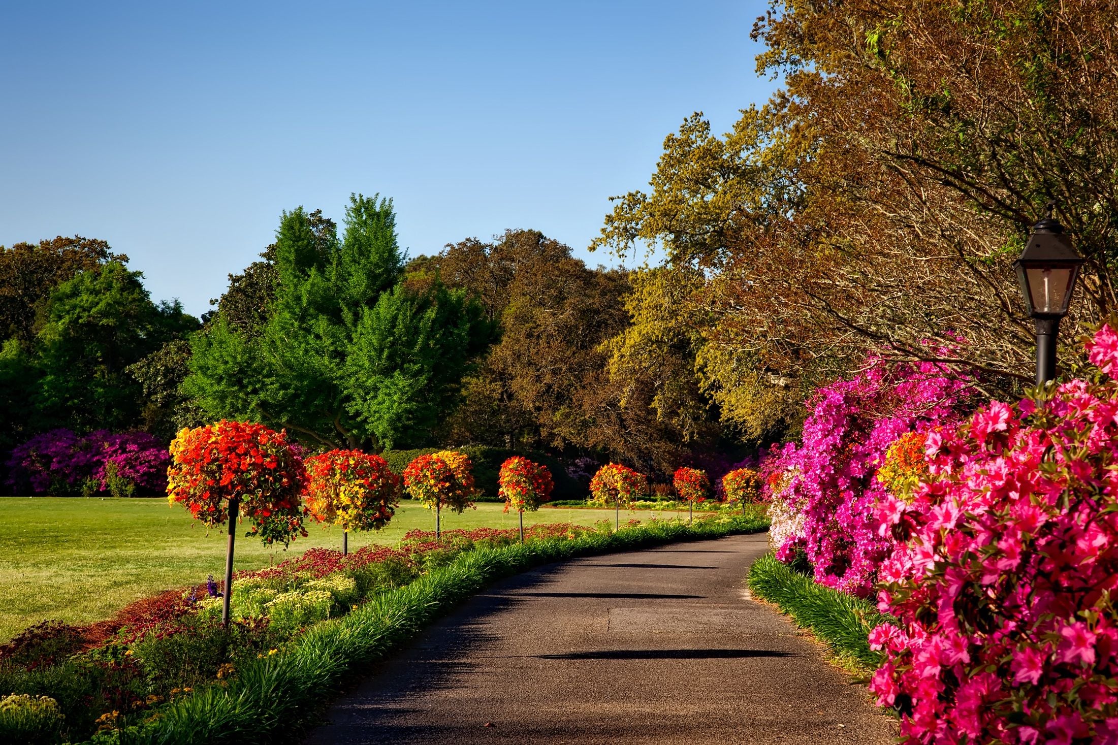 Landscaping